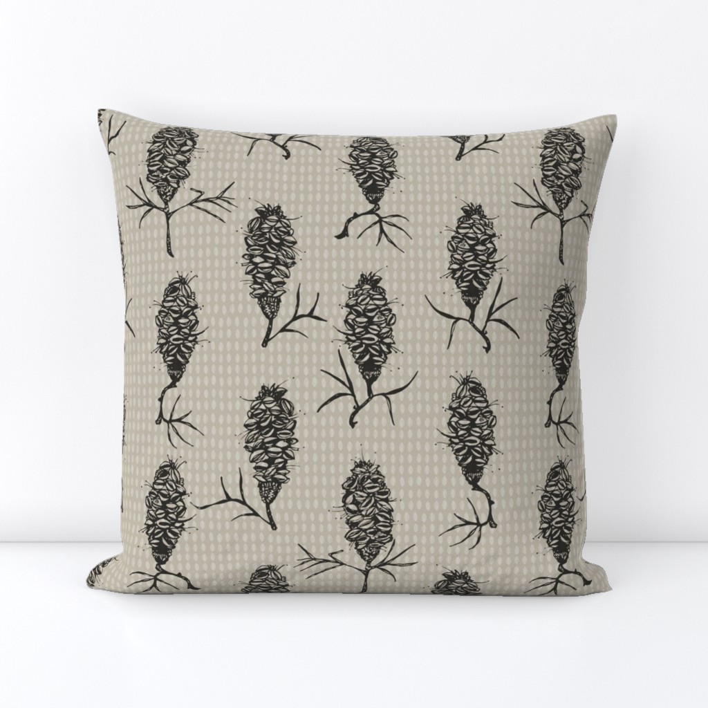 Banksia on grey