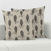 Banksia on grey