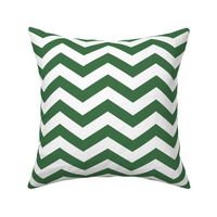 Chevron in Green