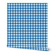 Gingham Check - Blue