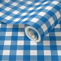 Gingham Check - Blue