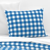 Gingham Check - Blue