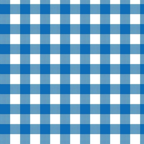 Gingham Check - Blue