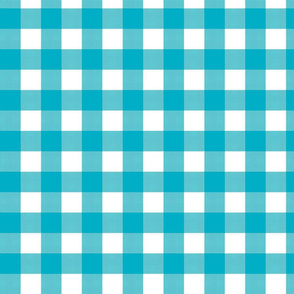 Gingham Check - Aqua