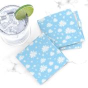 Snowflakes blue and white