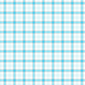 Sweet Folk Garden - Aquaberry Tartan 2  - © PinkSodaPop 4ComputerHeaven.com 