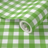 Gingham Check Green