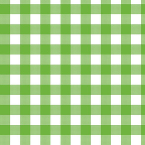 Gingham Check Green