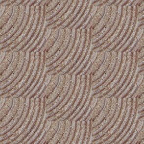 Pine_Tree_Rings_up_close_2