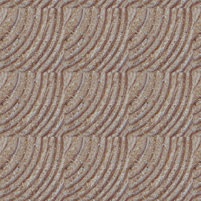 Pine_Tree_Rings_up_close_2