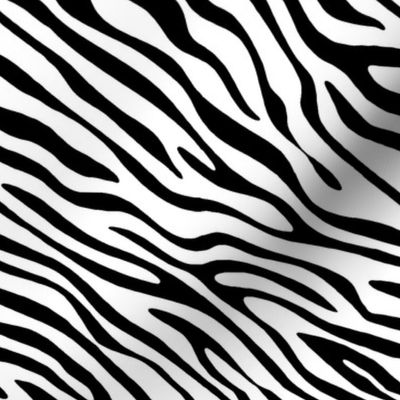 Basic Zebra