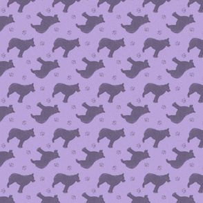 Standing Schipperke - purple