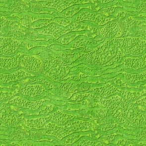 encrusted lime green
