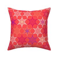 star parabola - coral - large