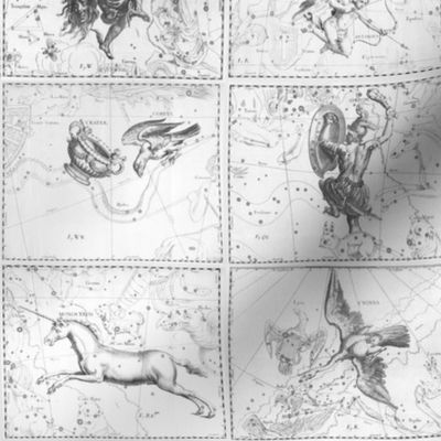 Renaissance Constellations