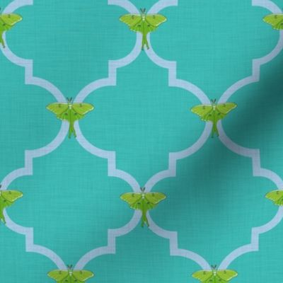 Luna Moth Quatrefoil in Turquoise