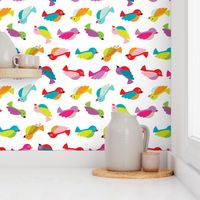 Colorful birdy birds tropical summer design