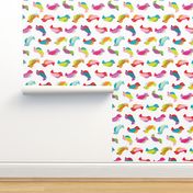 Colorful birdy birds tropical summer design