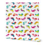 Colorful birdy birds tropical summer design