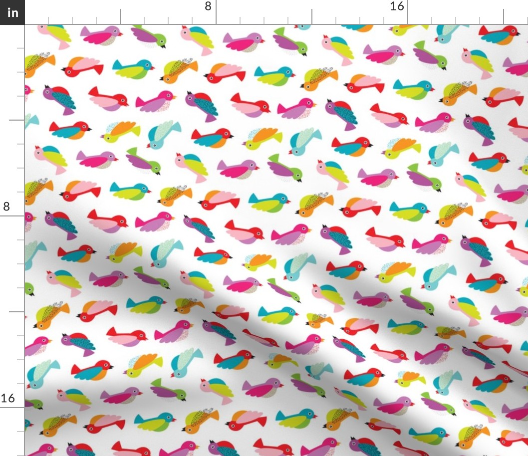 Colorful birdy birds tropical summer design