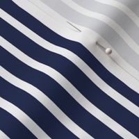 1/4" White on 1/2" Navy Stripes