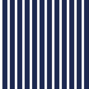 1/4" White on 1/2" Navy Stripes