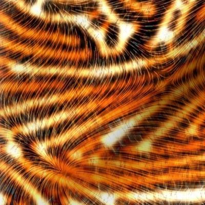 Tiger Skin Rug