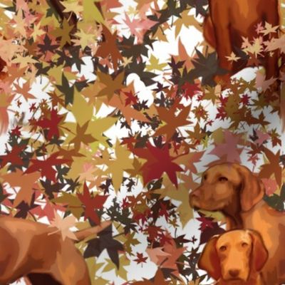 Vizslas and Autumn Leaves