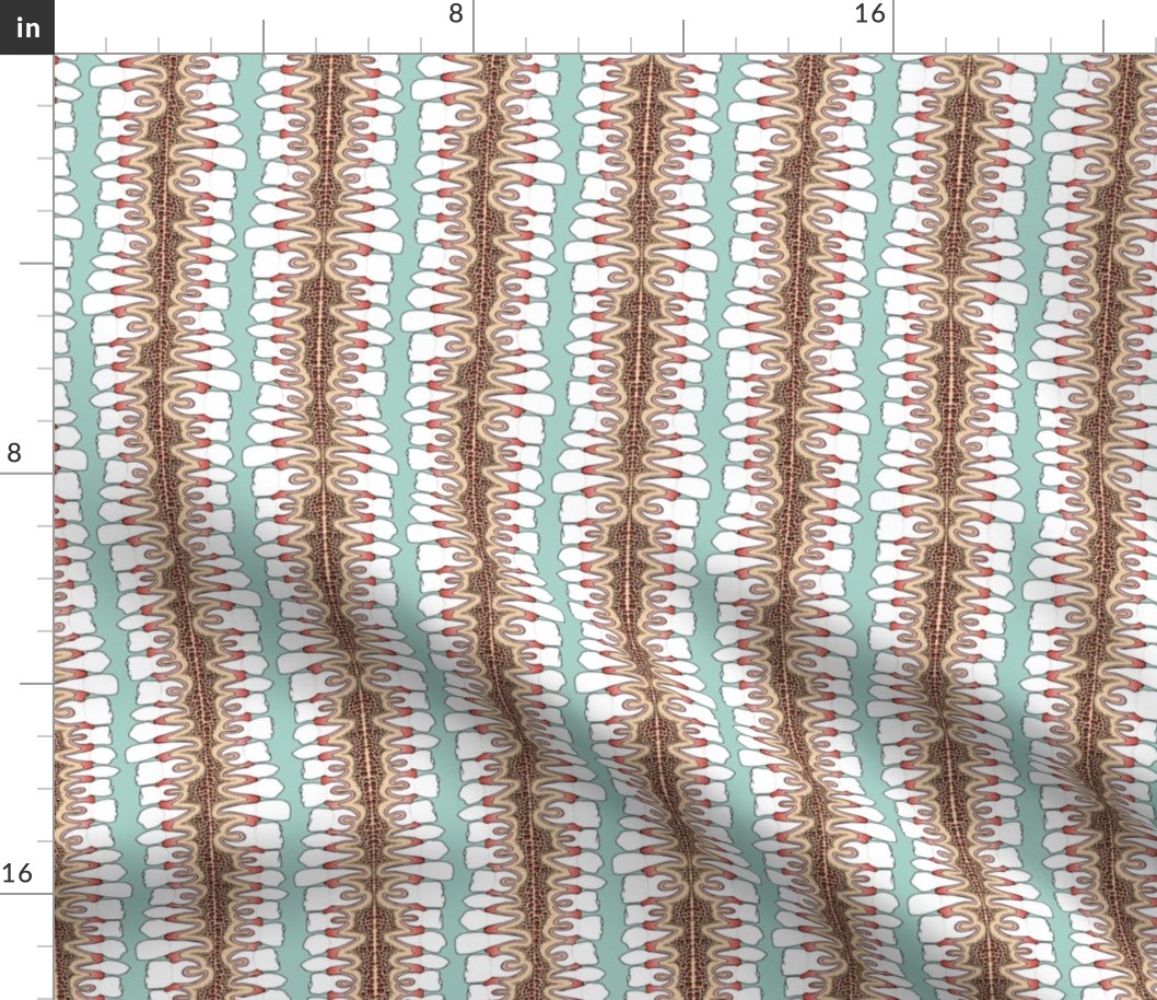 Teeth in Gums (1/2 size)