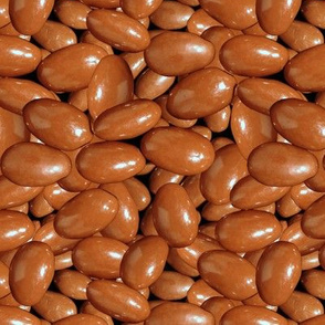 Chocolate covered Almonds