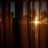 241961-through-curtains-by-kwilkes