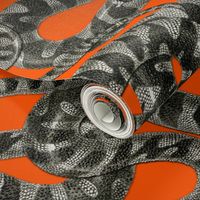 Snake Stripe ~ Disdain and Malice