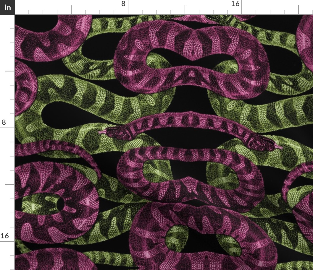 Snake Stripe ~ Envy and Lust