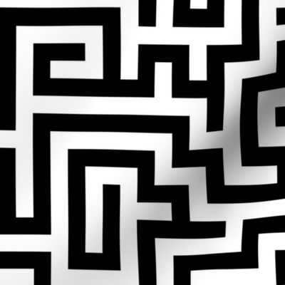 Labyrinth ~  Black and White