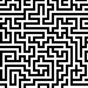 Labyrinth ~  Black and White