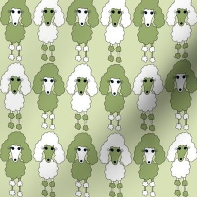 Green Poodle Parade 