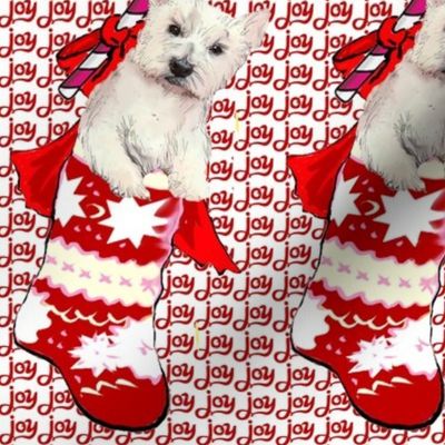 westy_terrier_in_Christmas_stocking