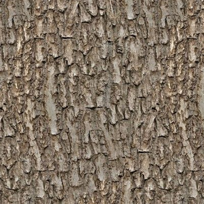 Natural Tree Bark