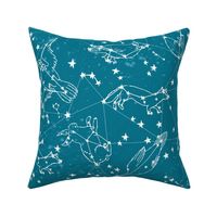 constellations // sky night time stars kids nursery baby animals