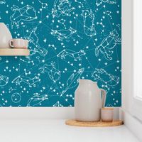 constellations // sky night time stars kids nursery baby animals