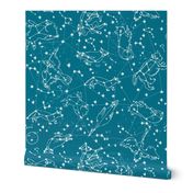 constellations // sky night time stars kids nursery baby animals