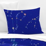 For Lyra and Cassie - Constellation map (56")