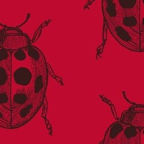 LadyBug, LadyBug - Red 