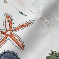 Seahorse & Starfish Dreams