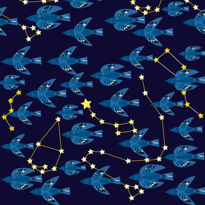 Constellation Migration 4
