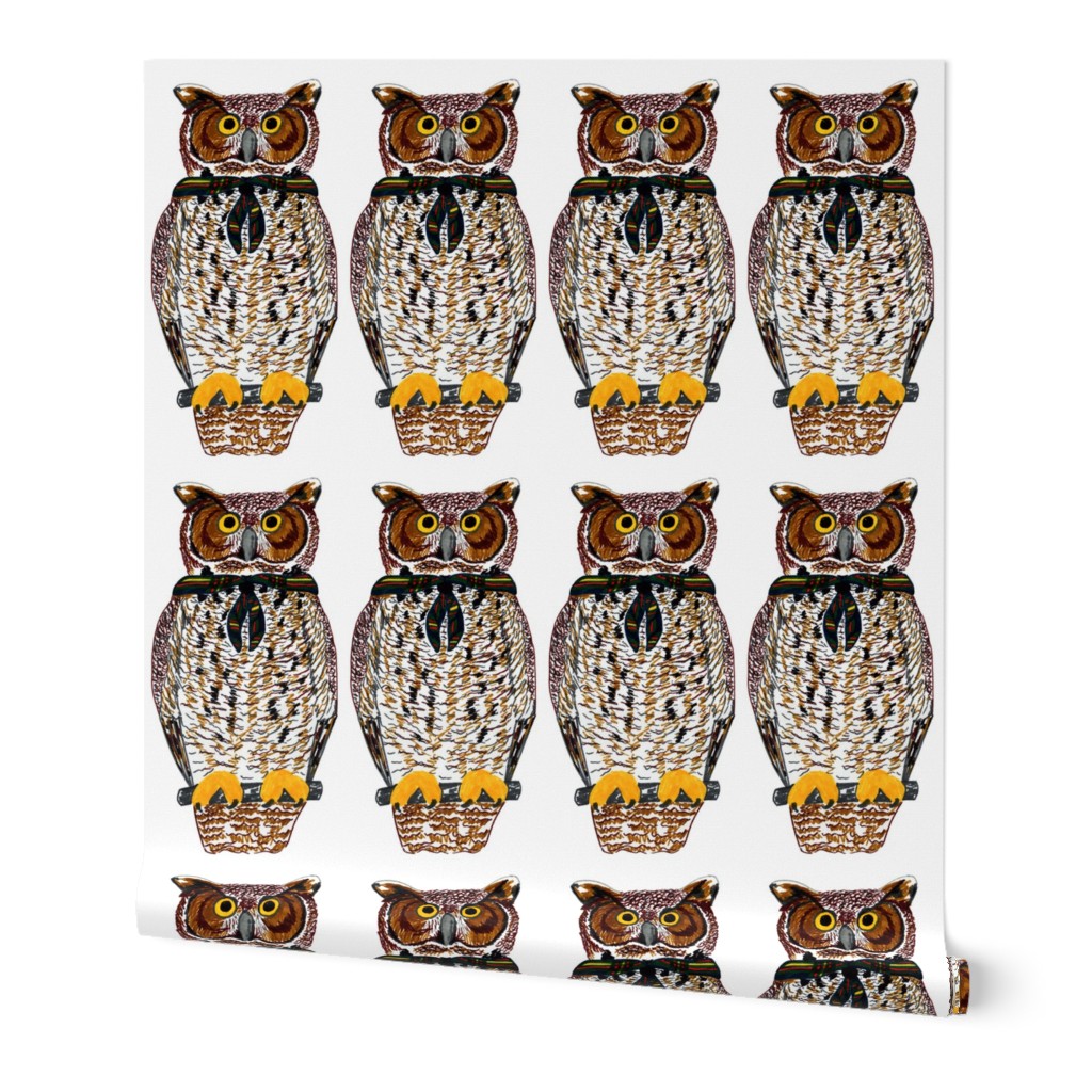 owl swatch