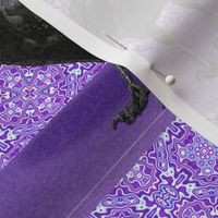 Black Crow Purple Kaleidoscope Pattern