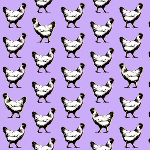 pop art chickens : purple