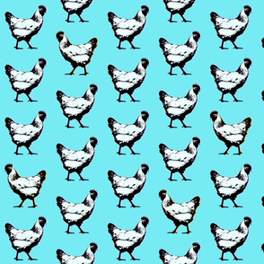 pop art chickens : turquoise