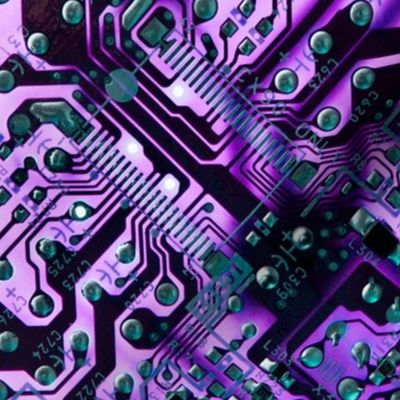circuit board purple